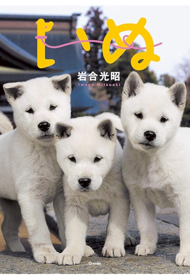 ねこといぬ ねこといぬ (IWAGO'S BOOK) | 岩合 光昭 |本 | 通販 | Amazon